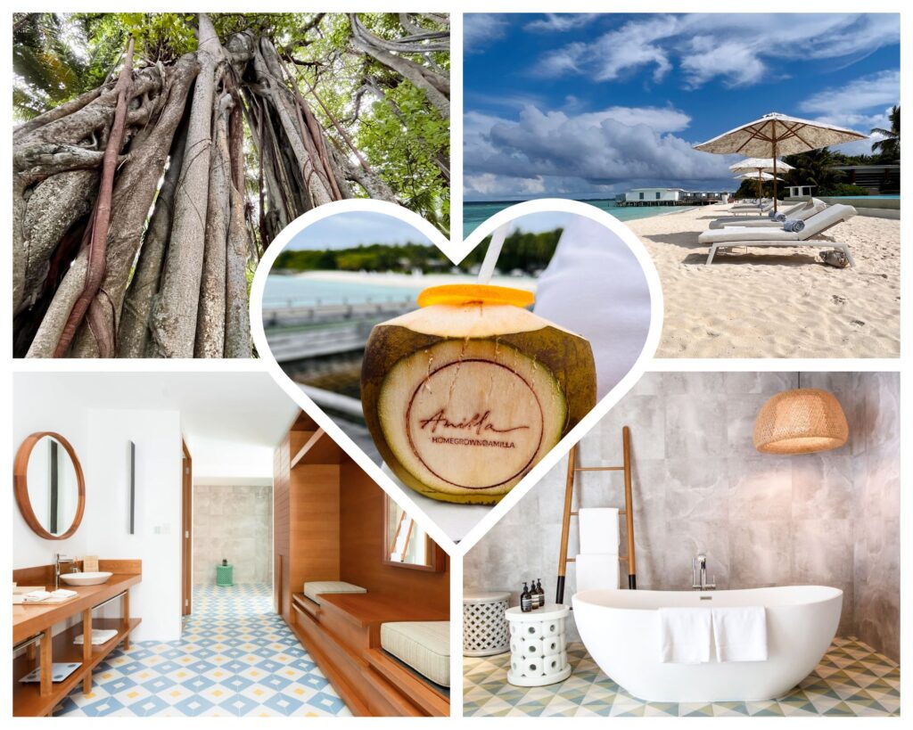 Amilla Heart Photo Collage showing Banyan Tree, Bathroom Floor Tiles, Beach Chairs on a Sunny Day and Welcome Coconut Water